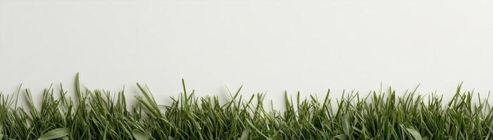 Lush green grass with sharply defined blades stretches along the bottom edge of a bright white background, creating a fresh and natural feel ideal for eco-friendly projects photo