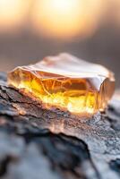 Thick amber resin seeps from rough tree bark, glistening in sunlight. The natural backdrop features soft earth tones, creating an eco-friendly ambiance perfect for organic product appeal photo