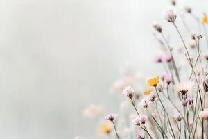 This rustic strip showcases wild meadow grass adorned with tiny, colorful wildflowers against a softly blurred pastel backdrop, perfect for floral and nature-inspired themes photo