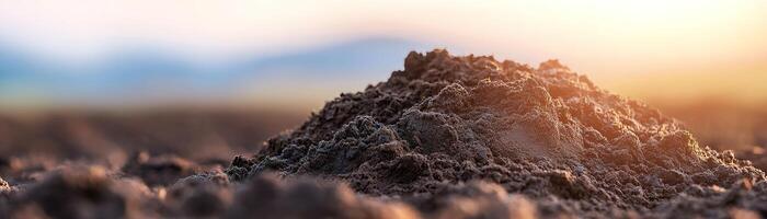 Freshly plowed dark brown soil showcases its rich texture under soft sunlight, with softly blurred rolling hills in the background, perfect for eco-friendly farming promotion photo