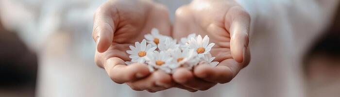 Close-up shows a man's hands gently holding a handful of vibrant daisies, illuminated by soft light. The dreamy pastel background enhances the tender atmosphere of the moment photo