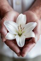 A man's strong and gentle hands delicately hold a white lily against a softly blurred neutral background, evoking a sense of peace and thoughtfulness suitable for memorials photo
