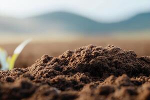 Close-up view of dark brown soil just plowed, with gentle sunlight highlighting its rich texture photo