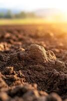 The dark brown soil is freshly plowed and illuminated by soft sunlight. Rolling hills gently blur in the background, creating a serene and organic atmosphere perfect for eco-friendly farming photo