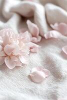 Blush pink peonies with gently curling petals rest on soft linen fabric. The soft focus and neutral background create a romantic setting ideal for floral designs and stationery overlays photo