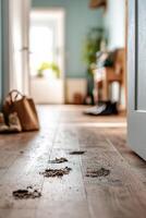 Muddy footprints mar the wooden floor of a hallway, guiding the viewer toward a disorganized entrance overflowing with shoes and bags, creating an engaging image for cleaning service promotion photo