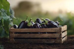 A rustic wooden crate is filled with glossy deep purple eggplants, showcasing their fresh green stems against a softly blurred farm backdrop, ideal for promotions of local produce photo