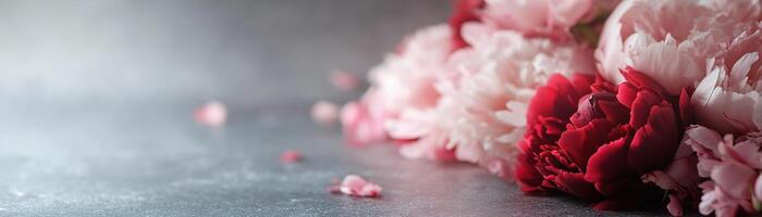 Deep pink and red peonies are beautifully arranged on a dark, moody surface, illuminated by soft lighting that highlights their delicate textures and creates an elegant ambiance photo