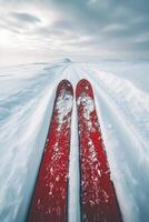Red skis making tracks in fresh snow on cloudy day photo