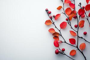 Red autumn leaves and berries creating a border on a white background, offering ample copy space for text or design elements photo