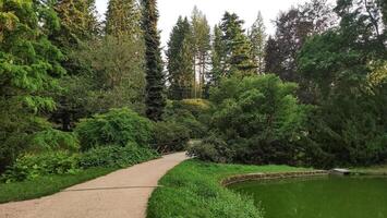 Pathway winding through lush green park in pruhonice, czech republic photo