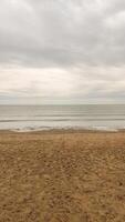 Waves gently caress the sandy shore of bibione beach in veneto, italy, under a soft, cloudy sky photo