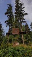 Climbing wall hanging between two trees in a forest adventure park in slovakia strbske pleso, high tatras photo
