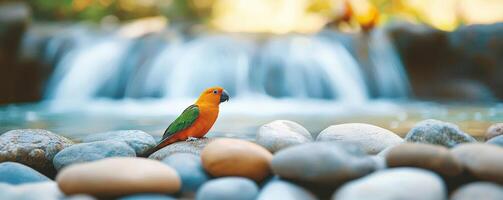Scenic waterfall hidden paradise concept. A colorful bird sitting on smooth stones by a tranquil waterfall. photo