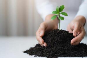 Sustainable and renewable business. A person nurturing a small plant growing in dark soil. photo