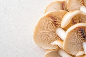 Fresh mushrooms with delicate gills and smooth caps, arranged aesthetically against a textured white background. photo