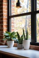 Home improvement with sustainable building concept. Cozy indoor scene featuring potted plants on a windowsill, with a warm light fixture illuminating the space. photo