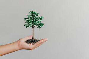 Non-profit volunteerism with social impact concept. Hand holding a tree representing nature and growth. photo