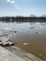 A serene flooded area is covered with river ice and debris, under clear blue skies. Natures beauty blends with environmental changes, creating a tranquil scene photo