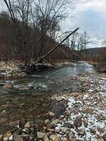 A picturesque stream gracefully flowing through a rugged and rocky terrain, complemented by a backdrop of majestic trees in the distance, creating a serene and tranquil natural setting photo