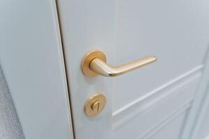 Here is an extensive and detailed description of a pristine white door, which features an elegant gold door handle that beautifully complements its overall aesthetic and design photo