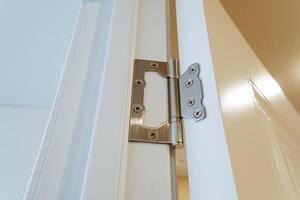 This is a detailed closeup view of a door hinge attached to a pristine white door, showcasing the intricate design and functionality of the hardware used in household doors photo