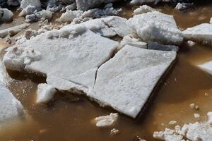 A solitary piece of ice is resting on top of a small puddle of water, creating a serene and tranquil scene. It embodies the beauty of winter and the natural world around it photo