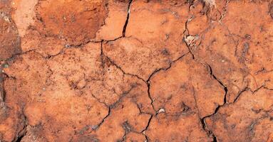 macro photo of red brick with visible texture. background