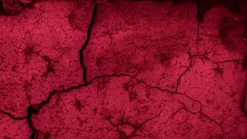 red brick with visible texture. background. photo