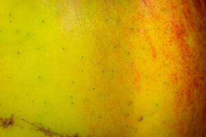 red and yellow apple skin with visible details. photo