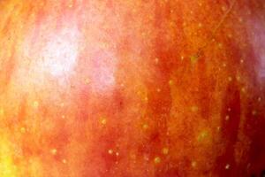 red apple skin with visible details photo