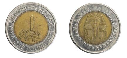 Egypt one pound coin on white isolated background photo