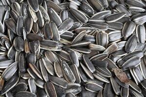 sunflower seeds with a visible texture. background photo