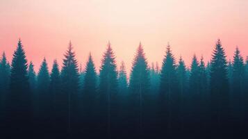 Serene sunset over evergreen trees lush forest background nature photography tranquil environment wide viewpoint photo