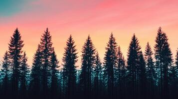 Silhouette of evergreen trees against colorful sunset background nature landscape tranquil environment outdoor viewpoint photo