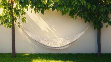 Relaxing hammock nestled between lush trees tranquil backyard photography natural setting warm light background photo