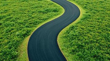 Winding road through lush green fields aerial view nature background serene landscape concept photo