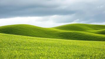 Lush green rolling hills nature landscape captivating background tranquil environment open viewpoint photo