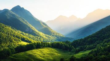 Majestic mountain landscape with lush green background early morning light nature photography tranquil environment photo