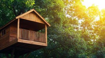 Treehouse adventure in nature wooden cabin with green background and warm sunlight photo