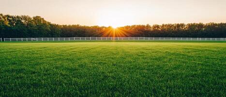 Sunrise over green fields country landscape nature photography tranquil environment wide view background photo