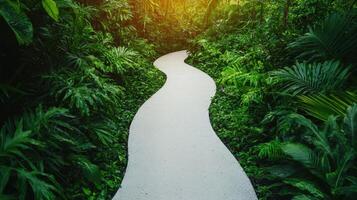 Serene curved pathway through lush green jungle background nature photography tranquil environment aerial view photo