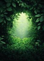 Serene nature escape lush green forest background view tranquil environment natural light peaceful concept photo