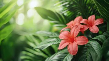 Vibrant tropical flowers blooming in lush green background nature photography serene environment close-up view photo