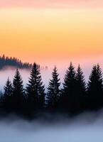 Misty forest sunrise mountains scenic landscape nature background calm atmosphere wide angle view photo