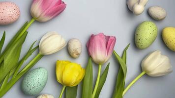 Spring tulips and eggs rotating on pastel blue background video