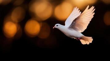 Soaring bird in flight against a blurred sunset background nature photography serene atmosphere captivating view photo