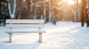 Tranquil winter scene snowy park photography nature background soft lighting serene atmosphere photo