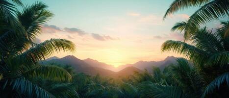 Sunset over mountains and palm trees tropical nature background scenic landscape viewpoint photo