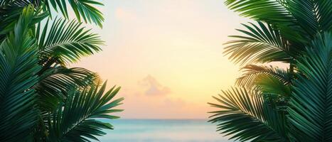 Sunrise over the ocean tropical nature background serene coastal view lush green palms tranquil environment photo